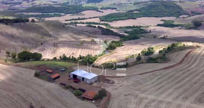 FAZENDA DE 116,5 ALQUEIRES EM APUCARANA – OPORTUNIDADE ÚNICA PARA INVESTIDORES E PRODUTORES RURAI