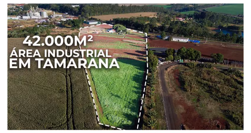 Área industrial 42.000 m² à venda – rod. vitório francovig, tamarana/pr (norte do paraná)