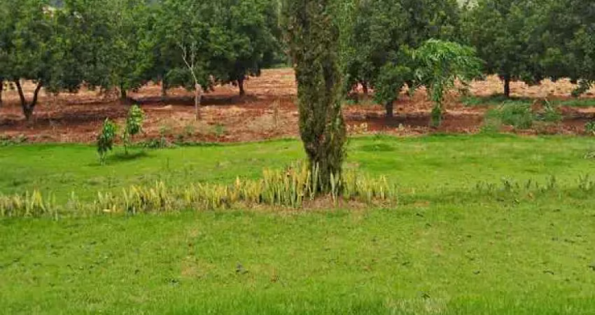 Chácara / sítio com 1 quarto à venda na ESTRADA DO LIMOEIROS, 9, Limoeiro, Londrina