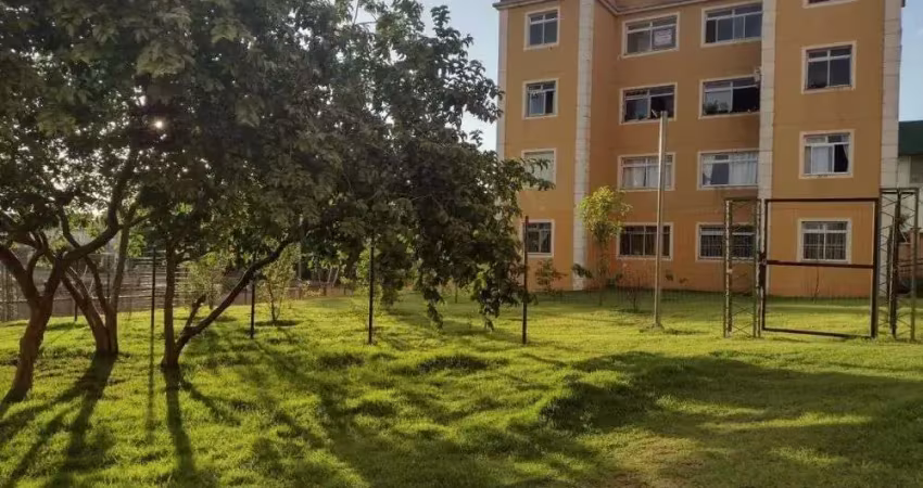 ?✨ APARTAMENTO NO RESIDENCIAL ATAULFO ALVES