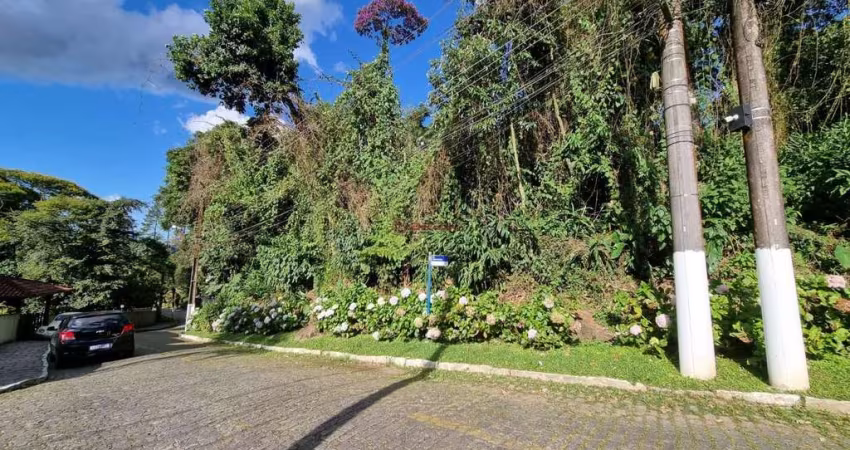 Terreno em condomínio fechado à venda na Rua Carlos Guinle, 658, Carlos Guinle, Teresópolis
