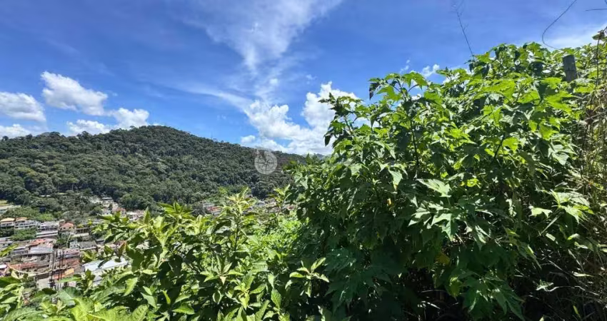 Terreno à venda, 1450 m² no vale do paraíso - teresópolis/rj.