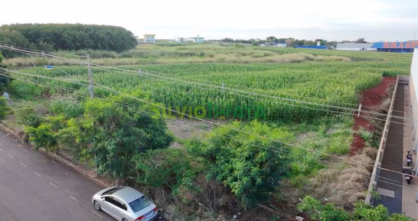 Excelente Oportunidade de Investimento ao Lado do Aeroporto de Maringá!
