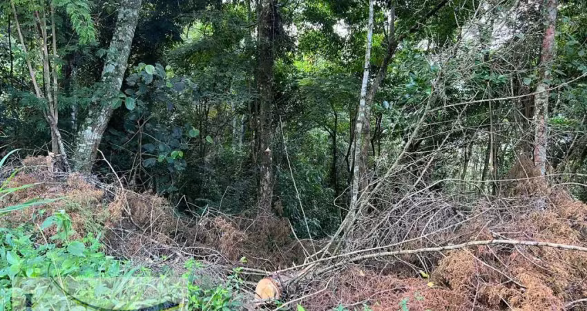 Terreno à venda no Retiro Das Palmeiras, Miguel Pereira 
