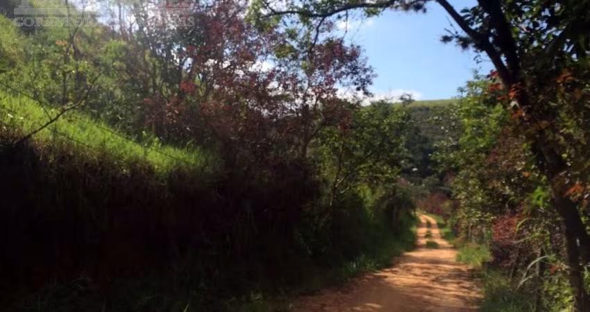 Sítio em Três Porteiras  -  Paty do Alferes