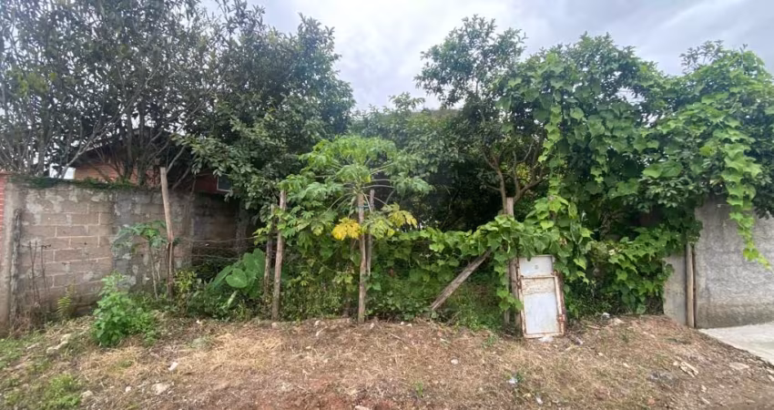 Excelente terreno plano, no centro de Filgueiras