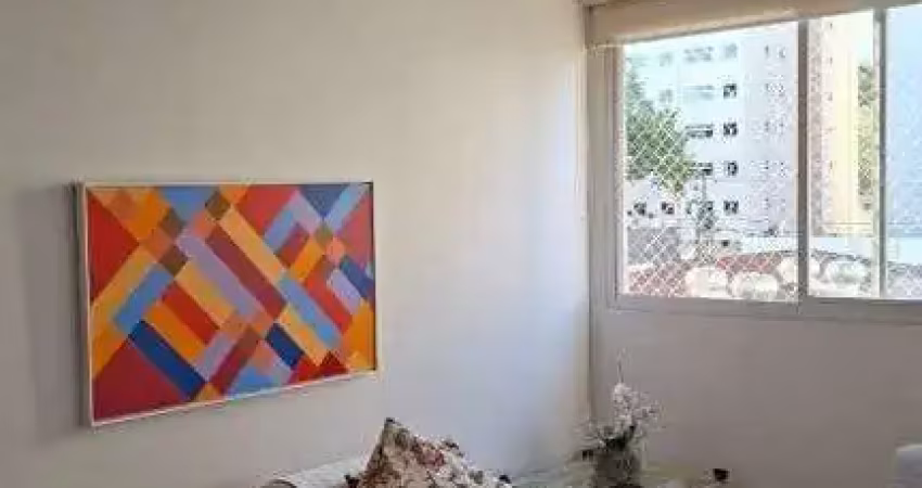 Apartamento com 2 quartos para alugar na Rua Santa Elza, Vila Adyana, São José dos Campos