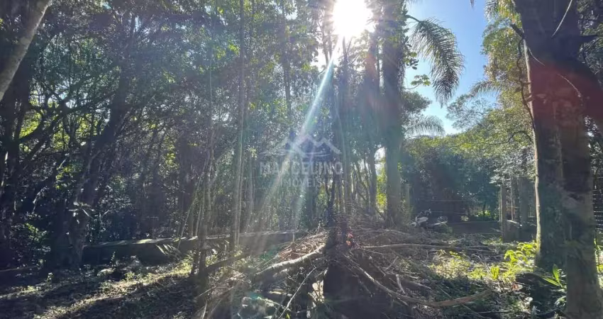 Terreno à venda na Praia do Rosa, Imbituba 