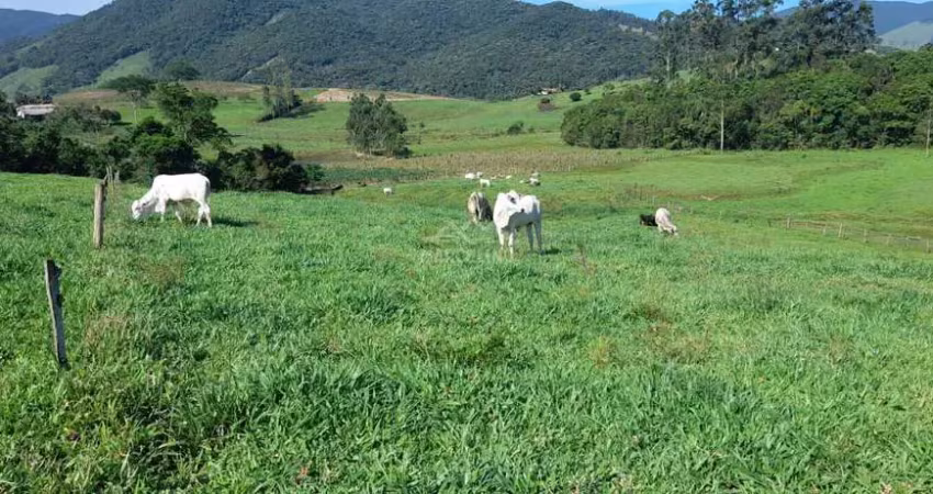 Fazenda à venda na Estrada Geral Aratingaúba, Aratingauba, Imaruí