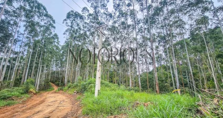 Terreno para Venda em Doutor Ulysses / PR no bairro Centro