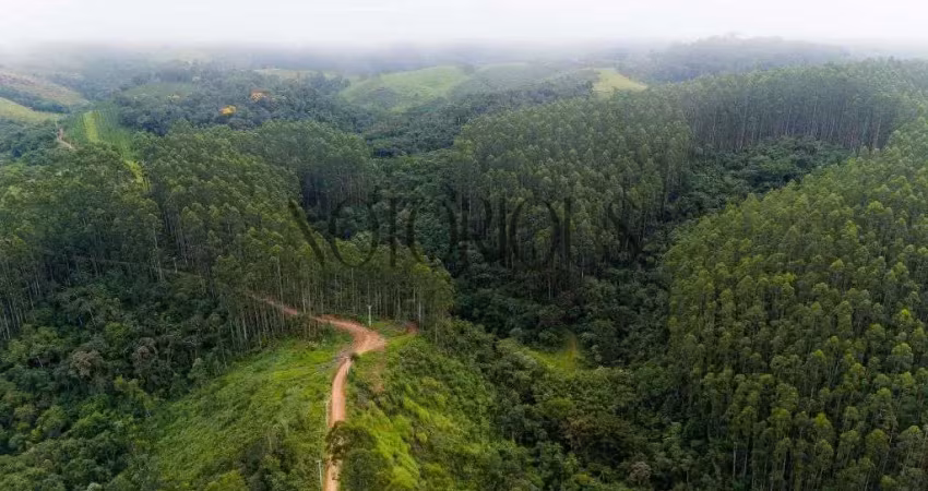 Terreno para venda em doutor ulysses / pr no bairro centro