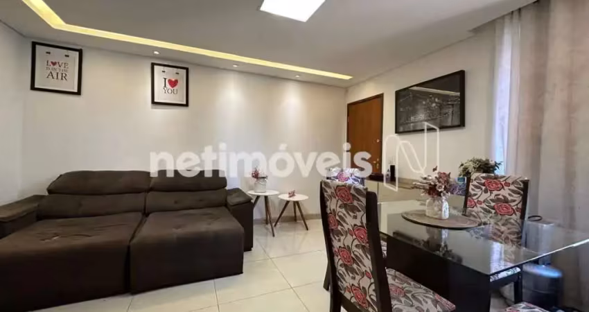 Apartamento com 2 quartos à venda na Rua Elson Nunes de Souza, Castelo, Belo Horizonte