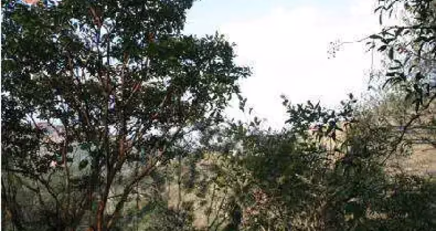 Terreno oferece grande potencial, podendo ser dividido em 03 lotes.