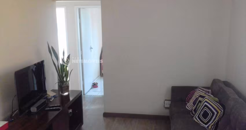 Venda Apartamento 3 quartos Castelo Belo Horizonte