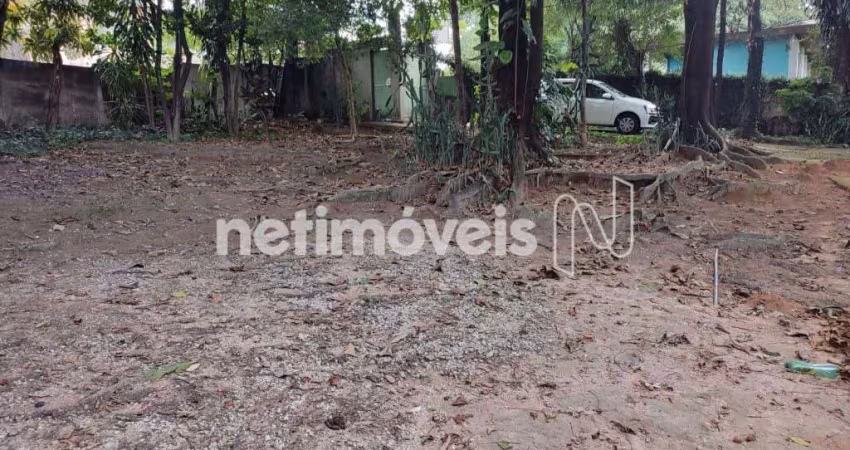 Terreno comercial à venda na Rua Bráulio Gomes Nogueira, Tirol, Belo Horizonte
