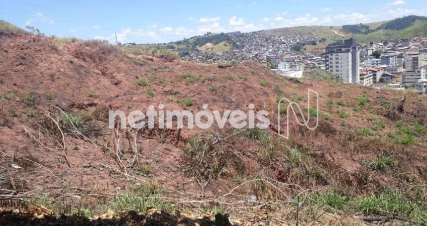 Venda Lote-Área-Terreno Alto da Boa Vista Ponte Nova