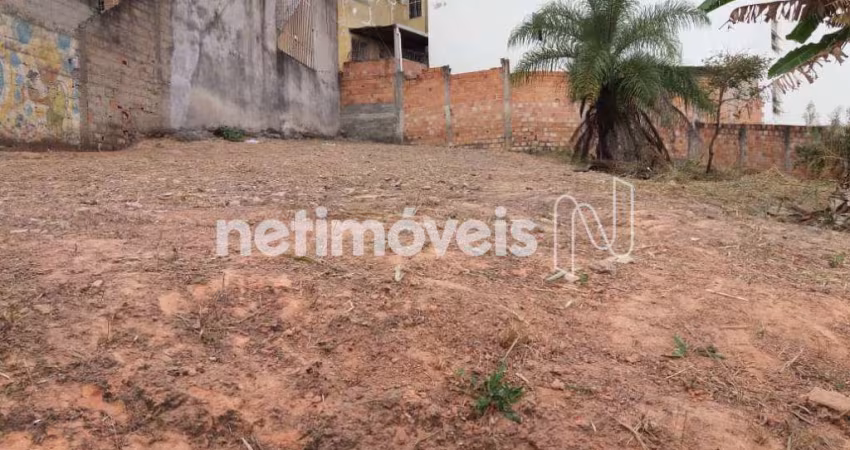 Venda Lote-Área-Terreno Vitória Belo Horizonte