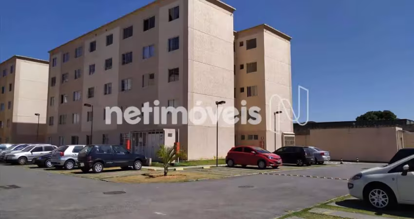 Venda Apartamento 2 quartos São Gabriel Belo Horizonte
