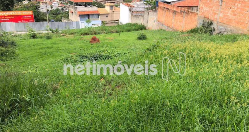 Venda Lote-Área-Terreno Juliana Belo Horizonte
