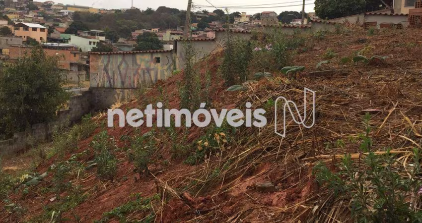 Venda Lote-Área-Terreno Santa Mônica Belo Horizonte