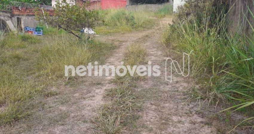 Venda Lote-Área-Terreno Planalto Belo Horizonte
