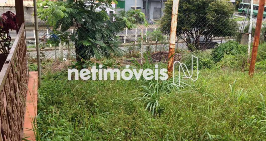 Venda Lote-Área-Terreno Santa Amélia Belo Horizonte
