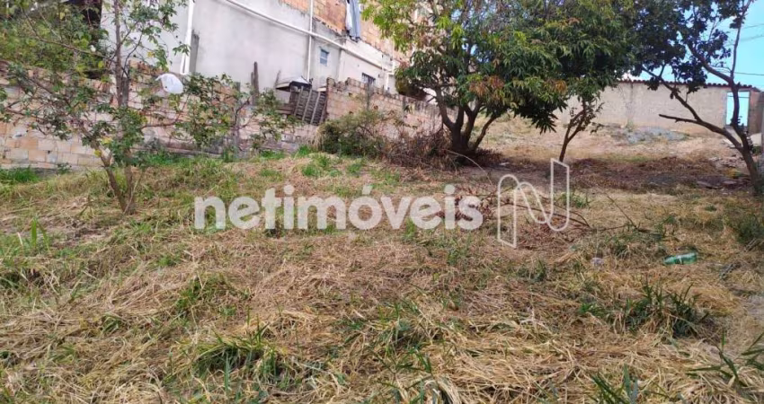 Venda Lote-Área-Terreno Belmonte Belo Horizonte