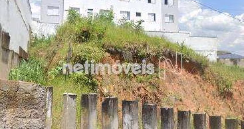 Venda Lote-Área-Terreno Fernão Dias Belo Horizonte
