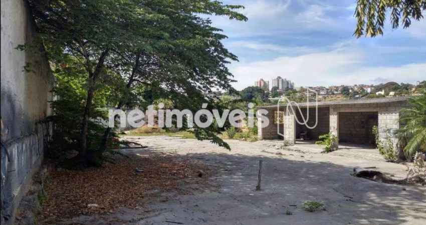 Venda Lote-Área-Terreno Alto dos Pinheiros Belo Horizonte