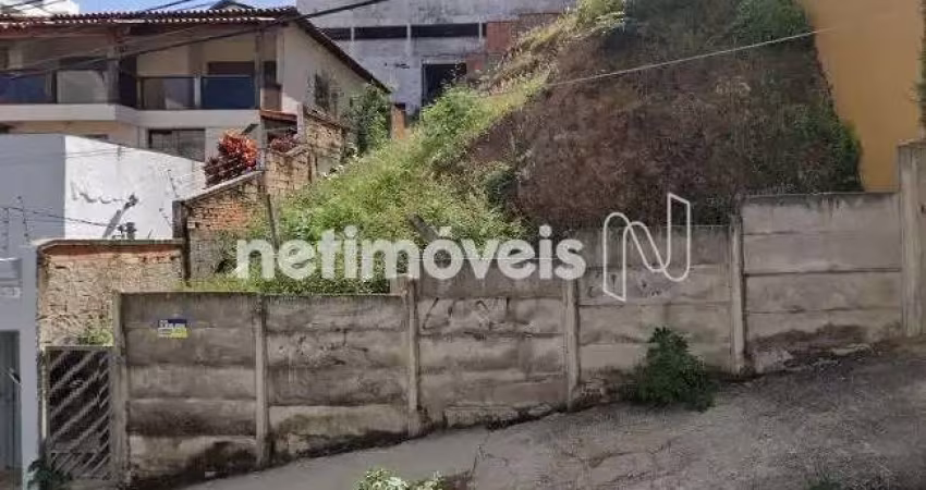 Venda Lote-Área-Terreno Fernão Dias Belo Horizonte