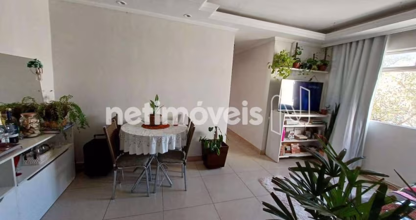 Venda Apartamento 3 quartos Santa Amélia Belo Horizonte