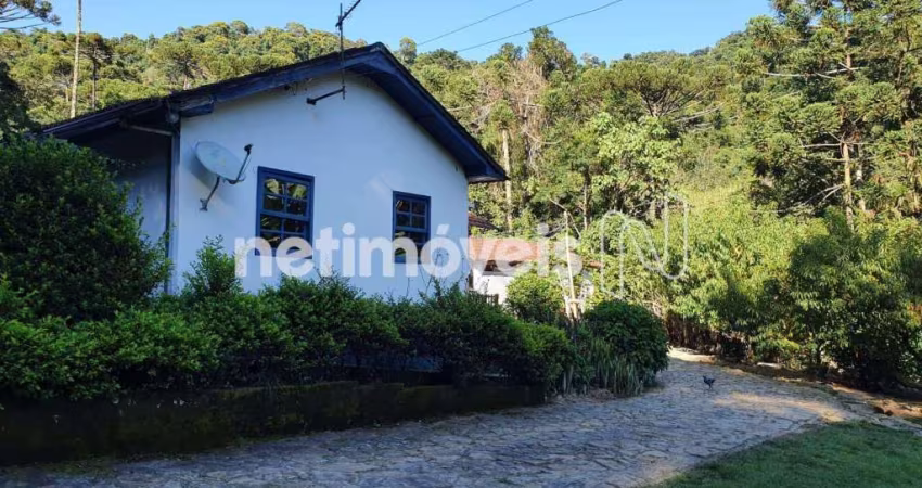 Venda Fazenda Serra Verde Virgínia