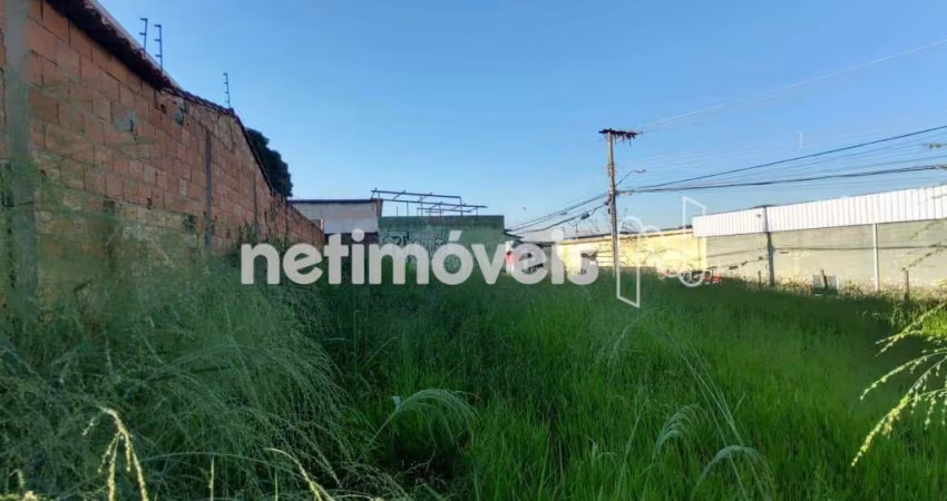 Venda Lote-Área-Terreno Jardim Montanhês Belo Horizonte