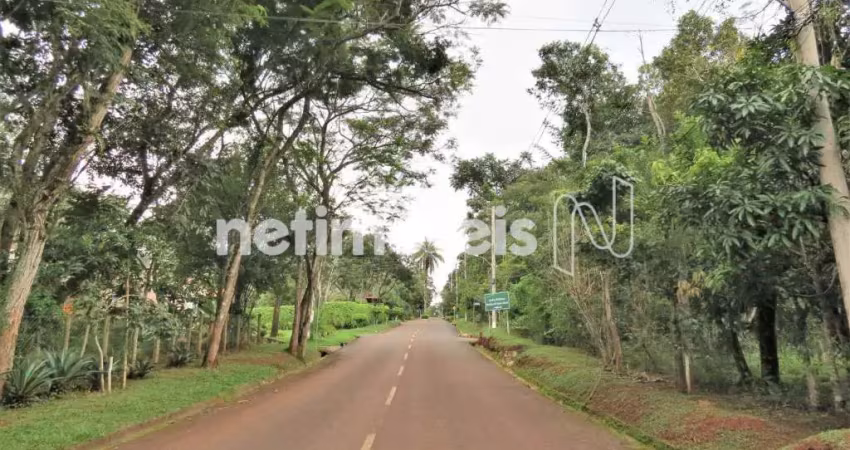 Terreno em condomínio fechado à venda na Avenida São Francisco, Condomínio das Águas Claras, Brumadinho