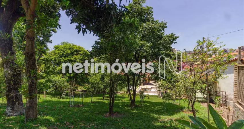 Terreno comercial à venda na Rua José Flávio Rodrigues, Tirol, Belo Horizonte