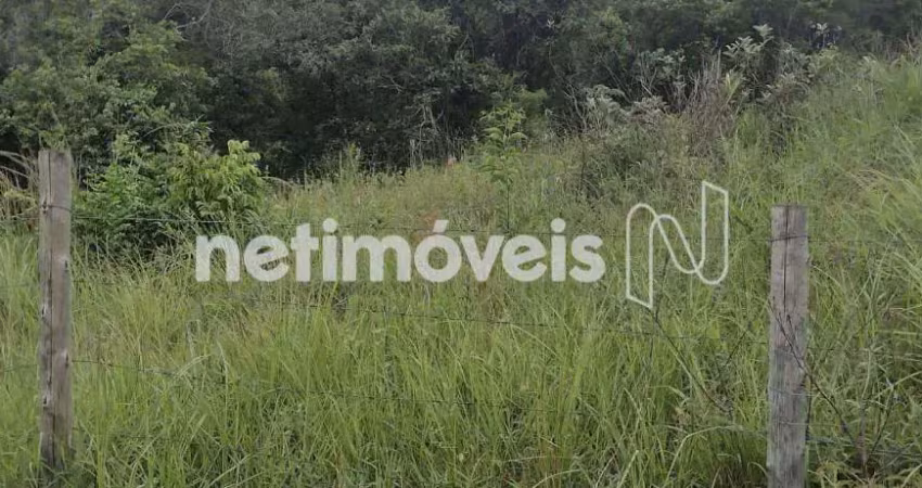 Venda lote-área-terreno área rural ribeirão das neves