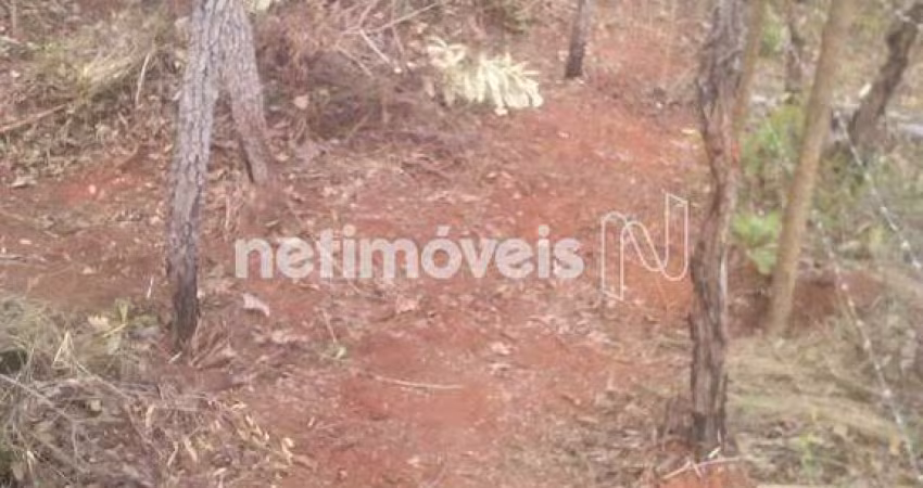 Venda Lote-Área-Terreno Shalimar Lagoa Santa
