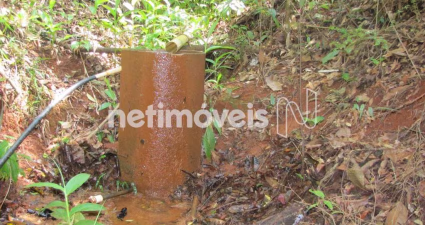 Venda Fazenda Zona Rural Itambé do Mato Dentro