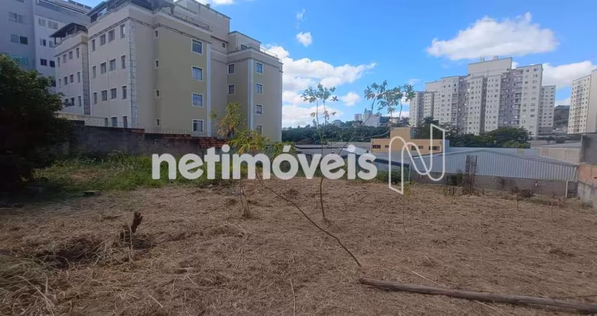 Venda Lote-Área-Terreno Castelo Belo Horizonte