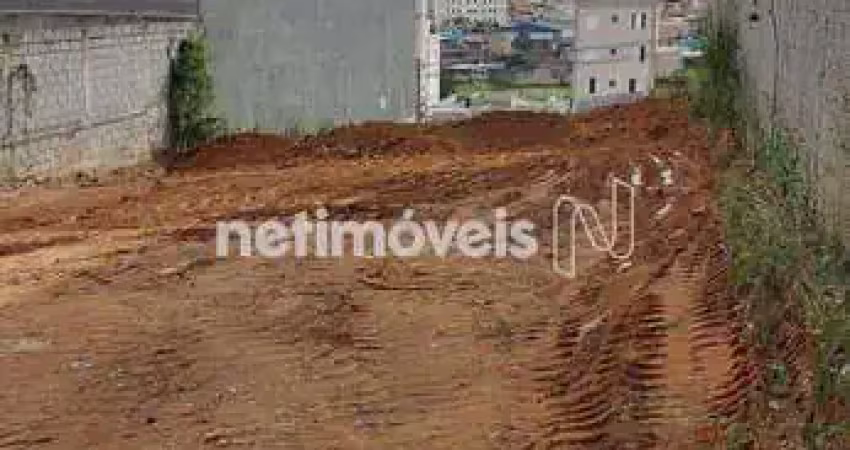 Terreno comercial à venda na Alameda dos Cisnes, Cabral, Contagem