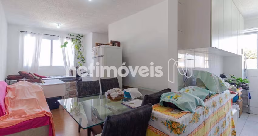 Venda Apartamento 2 quartos Cabral Contagem