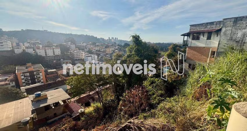 Venda Lote-Área-Terreno Alto Caiçaras Belo Horizonte