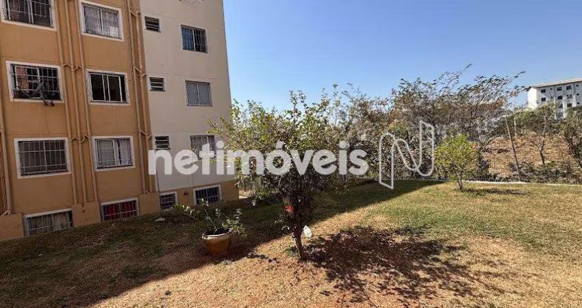 Venda Apartamento 2 quartos Jardim Vitória Belo Horizonte