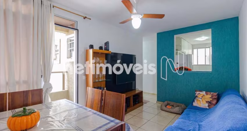 Venda Apartamento 3 quartos Cabral Contagem