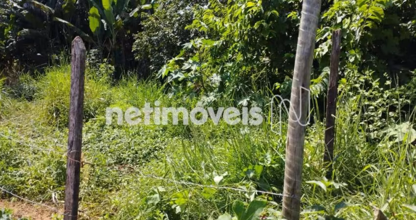 Venda Lote-Área-Terreno Encruzilhada São Pedro dos Ferros