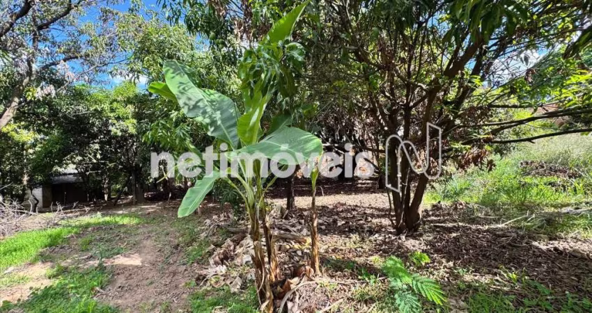 Venda Lote-Área-Terreno Garças Belo Horizonte