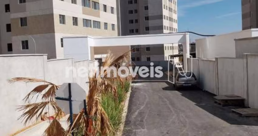 Venda apartamento 2 quartos palmeiras belo horizonte