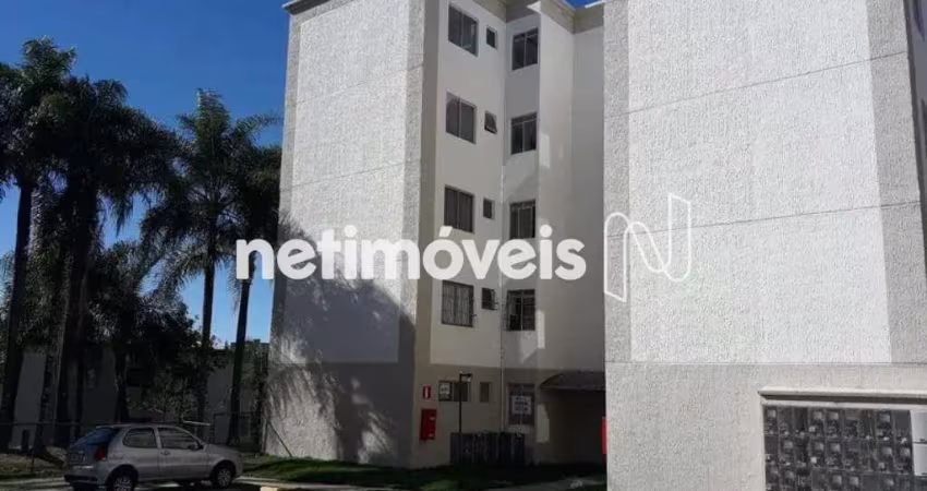 Venda Apartamento 1 quarto Santa Amélia Belo Horizonte