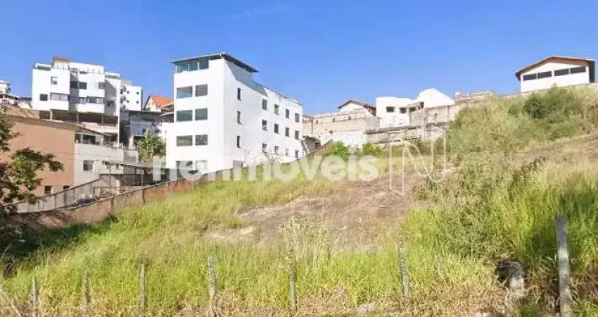 Terreno comercial à venda na Rua das Paineiras, Novo Horizonte, Sabará