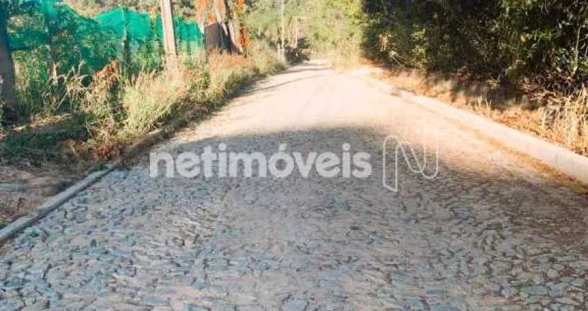 Venda Lote-Área-Terreno Vila Ipê Amarelo Contagem